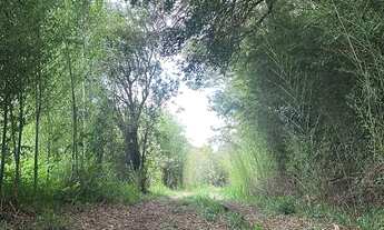 Imagem: Ibiuna Terreno Ideal para Grandes Projetos