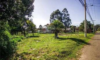 Imagem 2: Oportunidade: Terreno 427m², Bairro São Luiz Gonzaga, Passo Fundo