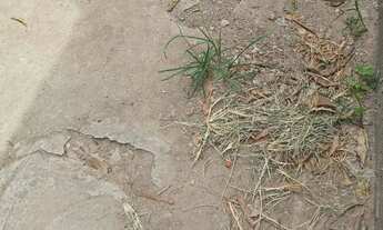 Imagem 3: Vendo terreno Terreno / lote com venda por R$30.000