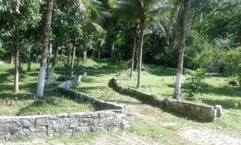 Imagem: SÍTIO 3871 M2