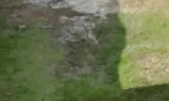 Imagem: Terreno Bairro da Glória - Macaé