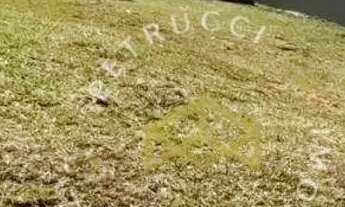 Imagem 2: Terreno à venda, 402 m² por R$ 700.000,00 - Swiss Park - Campinas/SP