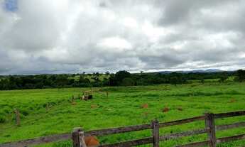 Imagem 3: Vendo Chácara em Mutunópolis GO