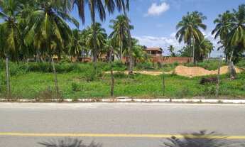 Imagem 7: Lotes na Barra Nova , metragem 8x22