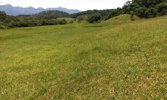 Imagem 6: Fazenda de 27 hectares com topografia excelente 100% em pasto