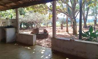 Imagem 3: CHÁCARA EM NOVA VENEZA COM ASFALTO NA PORTA