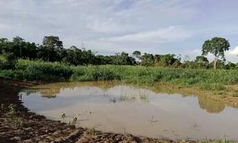 Imagem 3: Terra na beira do rio Tocantins 11 alqueires