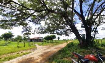 Imagem 6: 35alqueires com 28 alqueires de pasto prontos no Pará R$ 1.6 milhões
