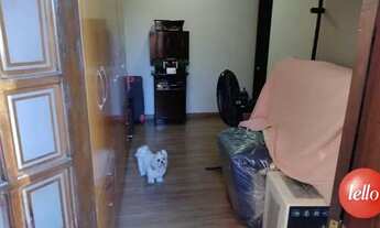 Imagem 6: São Paulo - Casa Padrão - Tatuapé