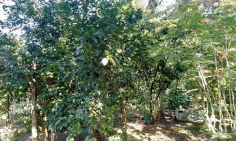 Imagem 5: Chácara Chácara com venda por R$280.000