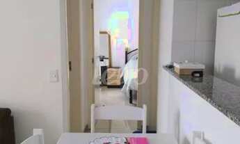 Imagem 2: Santo André - Apartamento Padrão - Vila Homero Thon