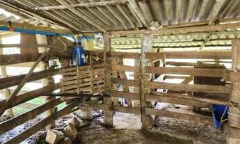 Imagem 6: Sítio São Francisco