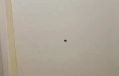 Imagem 2: Sala Comercial - 31,5 mts2 - CEntro Rudge Ramos - SBC