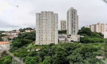 Imagem 7: Apartamento para Aluguel - Tucuruvi, 3 Quartos, 70 m2