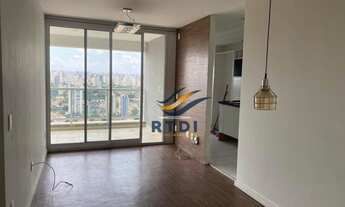 Imagem 6: Oportunidade Berrine