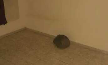 Imagem 4: Vendo apto 56 mil(setor 2b cidade tiradentes