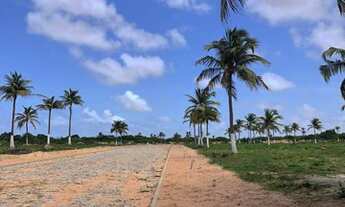 Imagem 4: RECANTO DOS PÁSSAROS LOTEAMENTO NO TRAIRI, CEARÁ