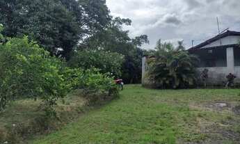 Imagem 5: Sítio Chácara com venda por R$170.000