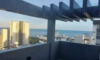 Imagem 5: Cobertura em Ponta verde(leia o anuncio