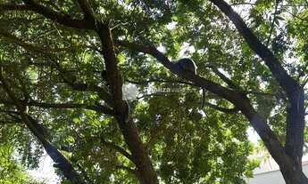 Imagem 7: Venda e locação