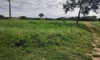 Imagem 3: Linda fazendinha de 211 Hectares..