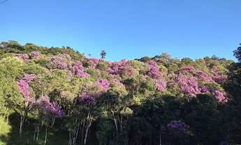 Imagem 5: Terreno rural com escritura- Rancho Queimado - SC
