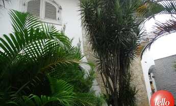 Imagem: São Paulo - Casa Comercial - Tatuapé