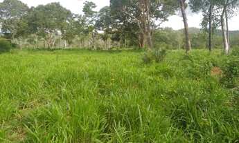 Imagem 2: Fazenda Sitio Chacara Roça Terra Gado Em tocantins Porto Nacional