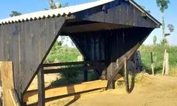 Imagem 3: SÍTIO EM COSTA MARQUES (RONDÔNIA