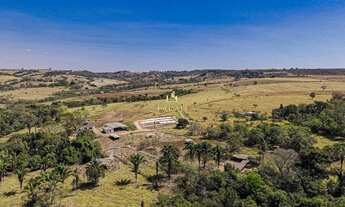 Imagem 7: FAZENDA PRODUTIVA|DUPLA APTIDÃO|AGRICULTURA|PECUÁRIA|LATICÍNIO