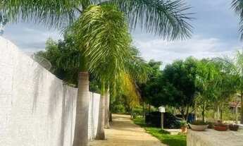 Imagem 4: Chácara com 4 dormitórios à venda, 500 m² por R$ 450.000,00 - Rural - Abadiânia/GO