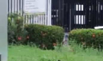 Imagem: Condomínio Alpínia 02 quartos - Bairro