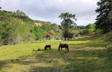 Imagem 3: Sítio em Cunha - Centro - Cunha/SP