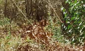 Imagem 3: Terreno com vista espetacular!