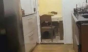 Imagem 4: Sobrado em Aberta dos Morros