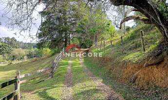 Imagem 5: Sítio em Cunha - Centro - Cunha/SP