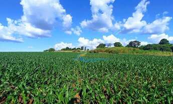 Imagem: Chácara à venda, 23405 m² por R$ 1.200.000,00