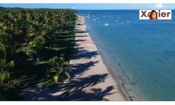 Imagem 4: Terreno em milagres alagoas