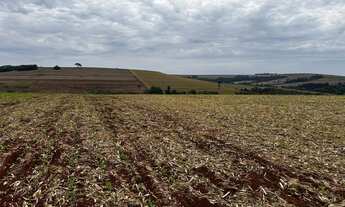 Imagem 6: Sítio de 8 alqueires na colônia nova