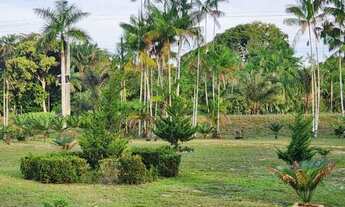 Imagem 2: Sítio 1000 x 3.000 estrada Balbina 1.016.000