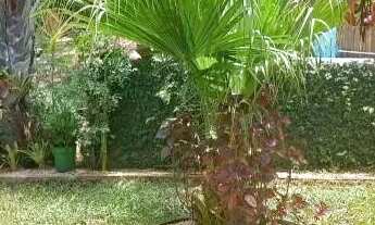 Imagem 6: Velleda oferece espetacular sítio todo arborizado com casa e piscina em Águas Claras