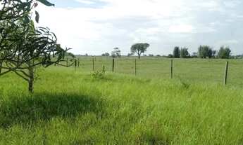 Imagem 2: Fazenda em Retiro - Campos dos Goytacazes