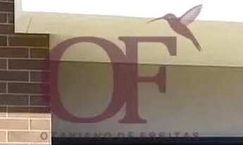 Imagem: Casa à venda no bairro Jardim Carolina