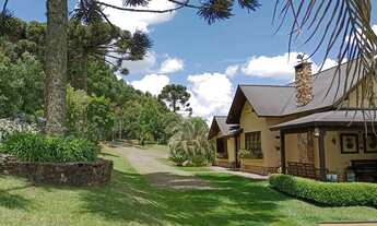 Imagem: Magnifica Chacara 25km de Caxias