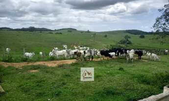 Imagem: 13 alqueires em Bicuíba (Bacaxá) - Saquarema