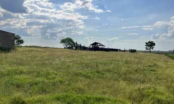 Imagem 2: Excelente oportunidade de Negócio Rural