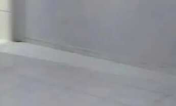 Imagem 2: Alguel Casa com 1 dormitório