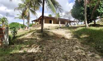 Imagem: Vende-se Sitio em Conde Bahia