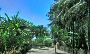 Imagem 7: VENDE-SE CASA EM BARREIRINHAS-MA