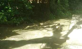 Imagem 3: Vendo ou troco Casa com 2 dormitórios